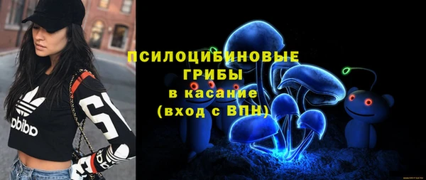 мескалин Нязепетровск