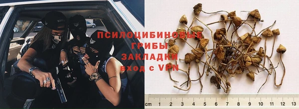 СК Новозыбков